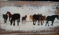 /album/animali/20160927-075608-jpg/