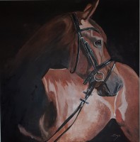 /album/animali/20230328-185508-jpg/